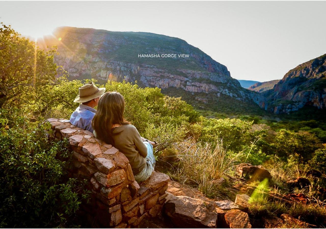 فيلا Leshiba Wilderness لويس تريشارد المظهر الخارجي الصورة